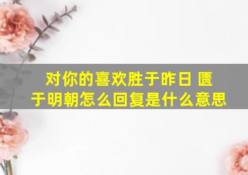 对你的喜欢胜于昨日 匮于明朝怎么回复是什么意思